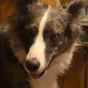 Meet your Posher, Malachi